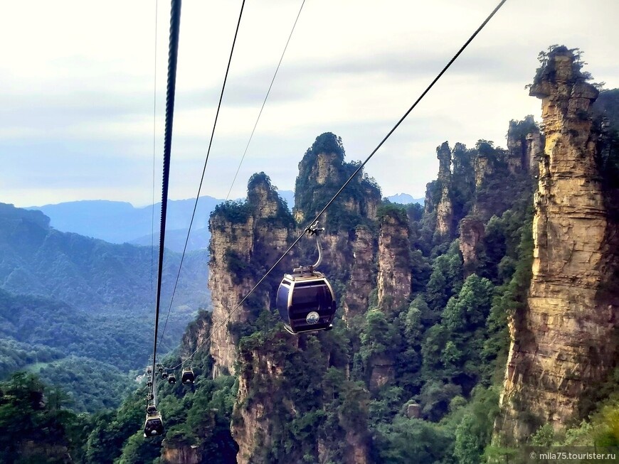 Наконец-то я в кабинке. Утро выдалось туманное, горы вдалеке в дымке. Но это горы Аватар! Я наконец-то здесь!!! © mila75.tourister.ru