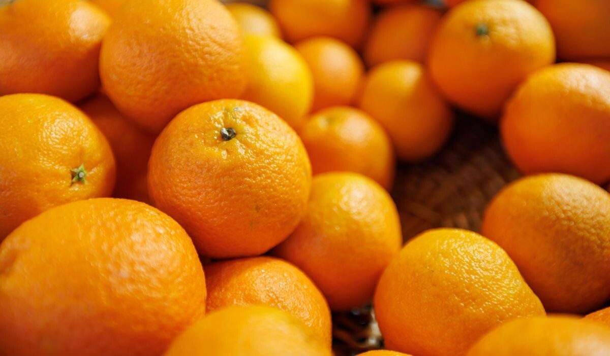     Мандарины. Источник: mos.ru Автор фото: Пресс-служба Мэра и Правительства Москвы
