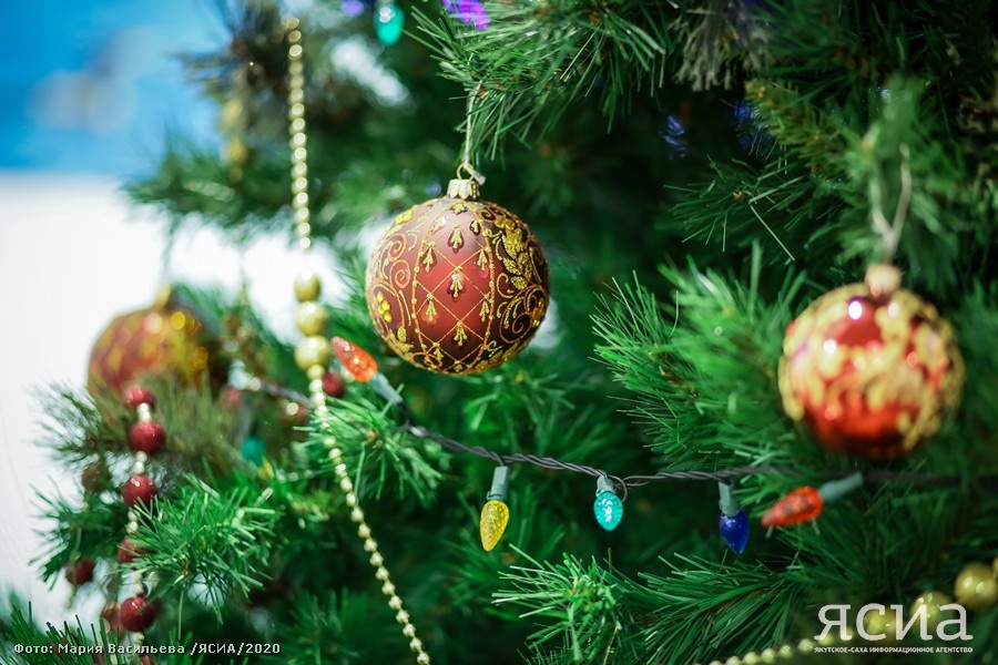 Фото: Мария Васильева, ЯСИА