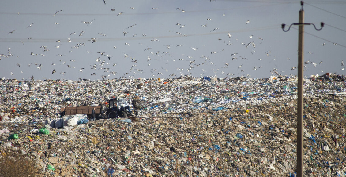    Фото: «Клопс»