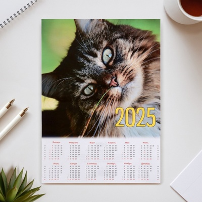 Фото с сайта sima-land.ru