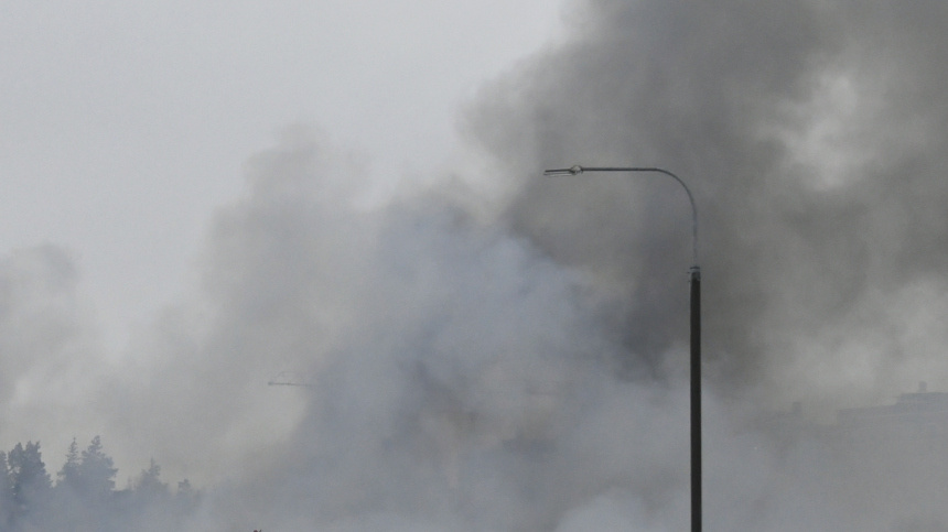    Фото: © РИА Новости/Михаил Воскресенский