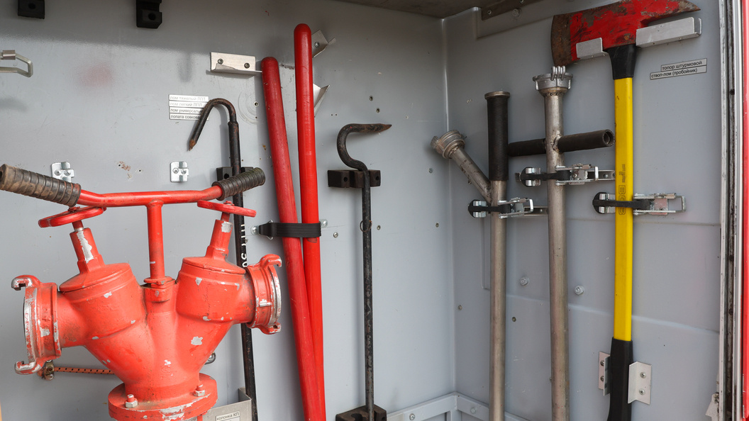    © Petrov Sergey/Globallookpress