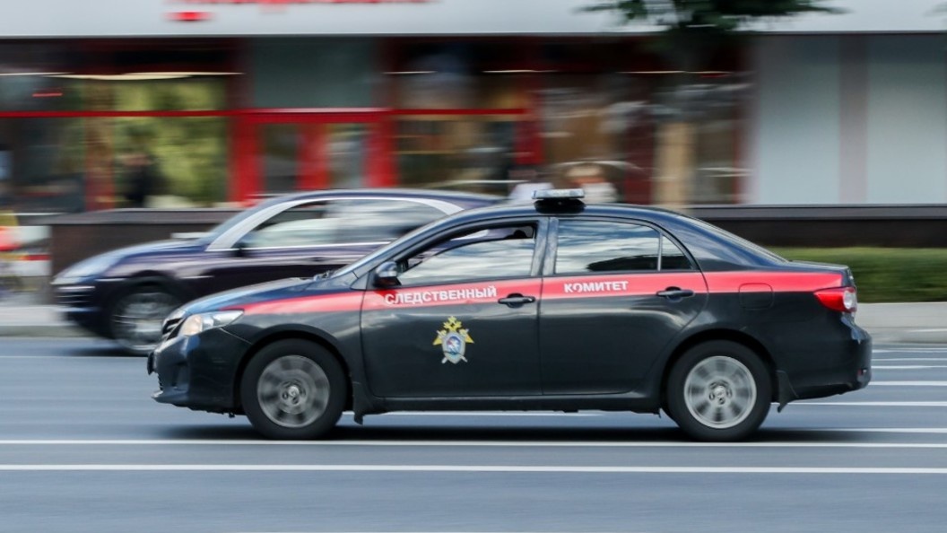    Bocharov Denis/news.ru/Globallookpress