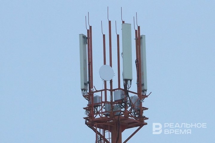 Фото: Михаил Захаров