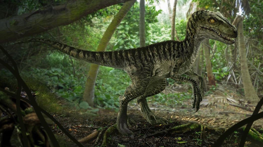 Откуда перуанские крестьяне знают, как он выглядит, если никогда его не видели? (Фото: jurassic-pedia.com).