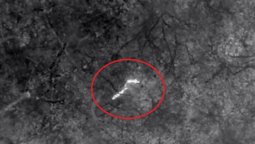     Источник: minles_pk