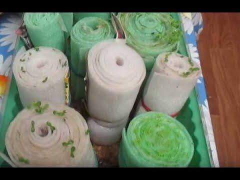 Почему так же не поставить стаканчики с грунтом? Что тут сэкономилось?