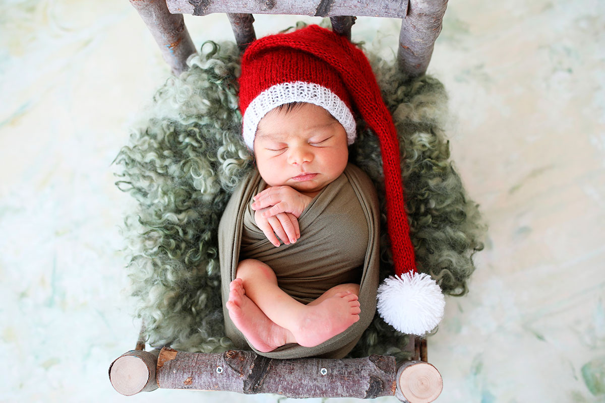    Фото: ShutterDesigner / Shutterstock.com