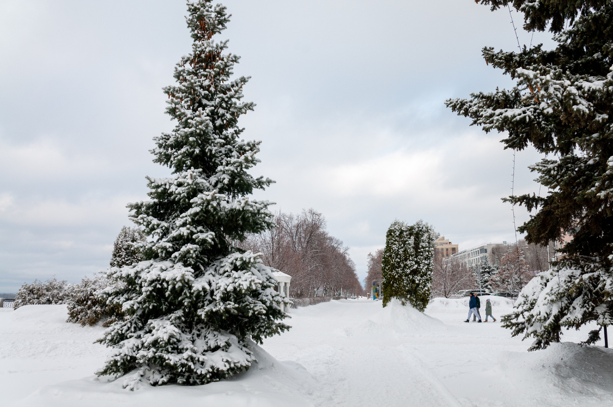 Фото: Svetlana Vozmilova / globallookpress.com