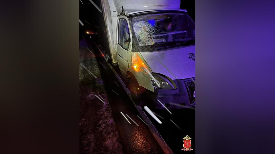    Фото: t.me/spb_police78