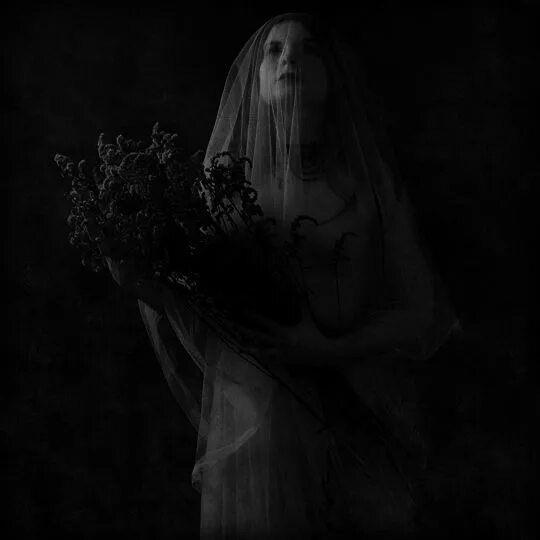 Изображение взято из открытых источников интернета. 