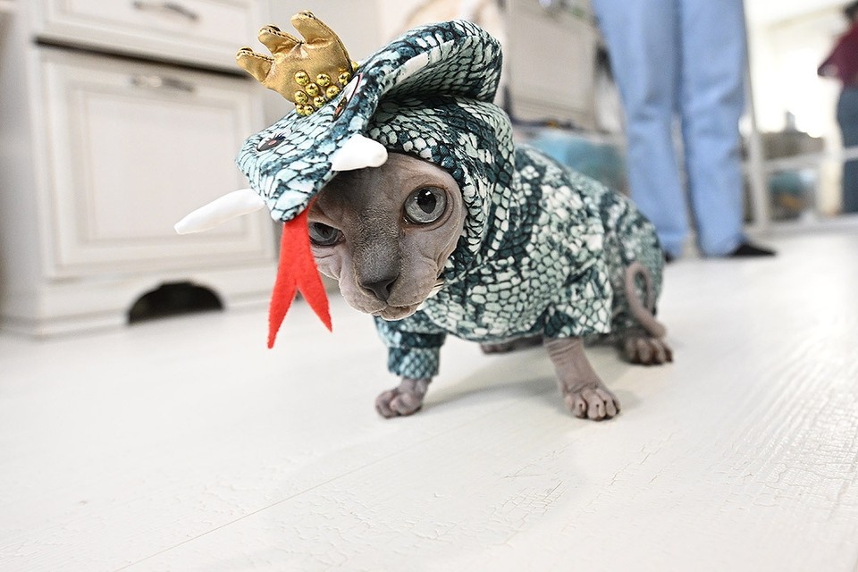   Евгения ГУСЕВА