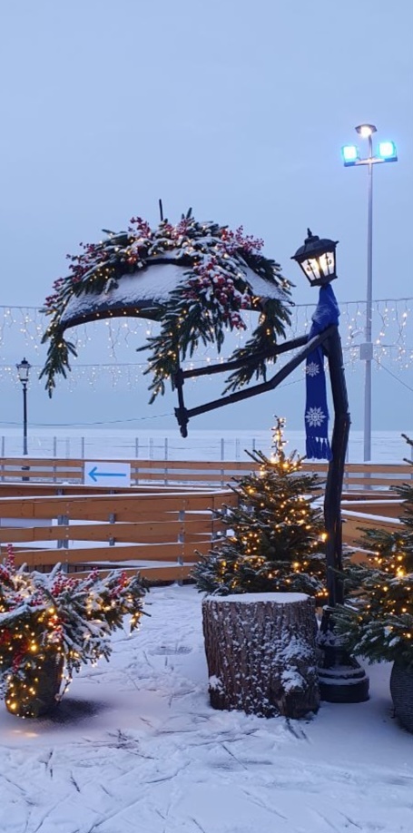 Фото сделано 24.12.2024