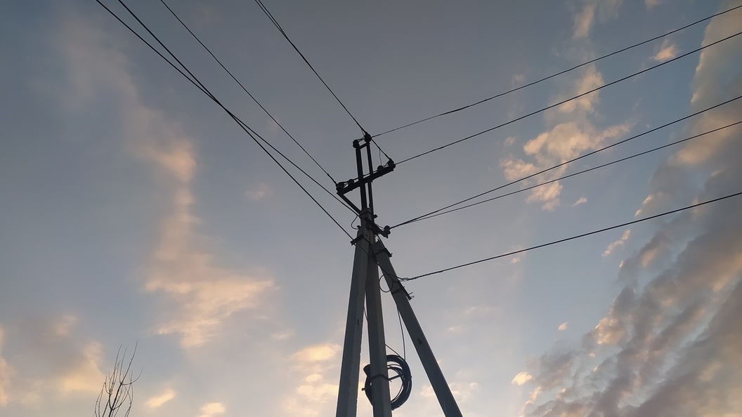    Фото: Maksim Konstantinov/Globallookpress