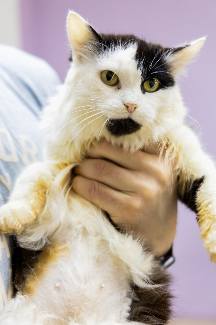 Листайте вправо, чтобы увидеть больше изображений