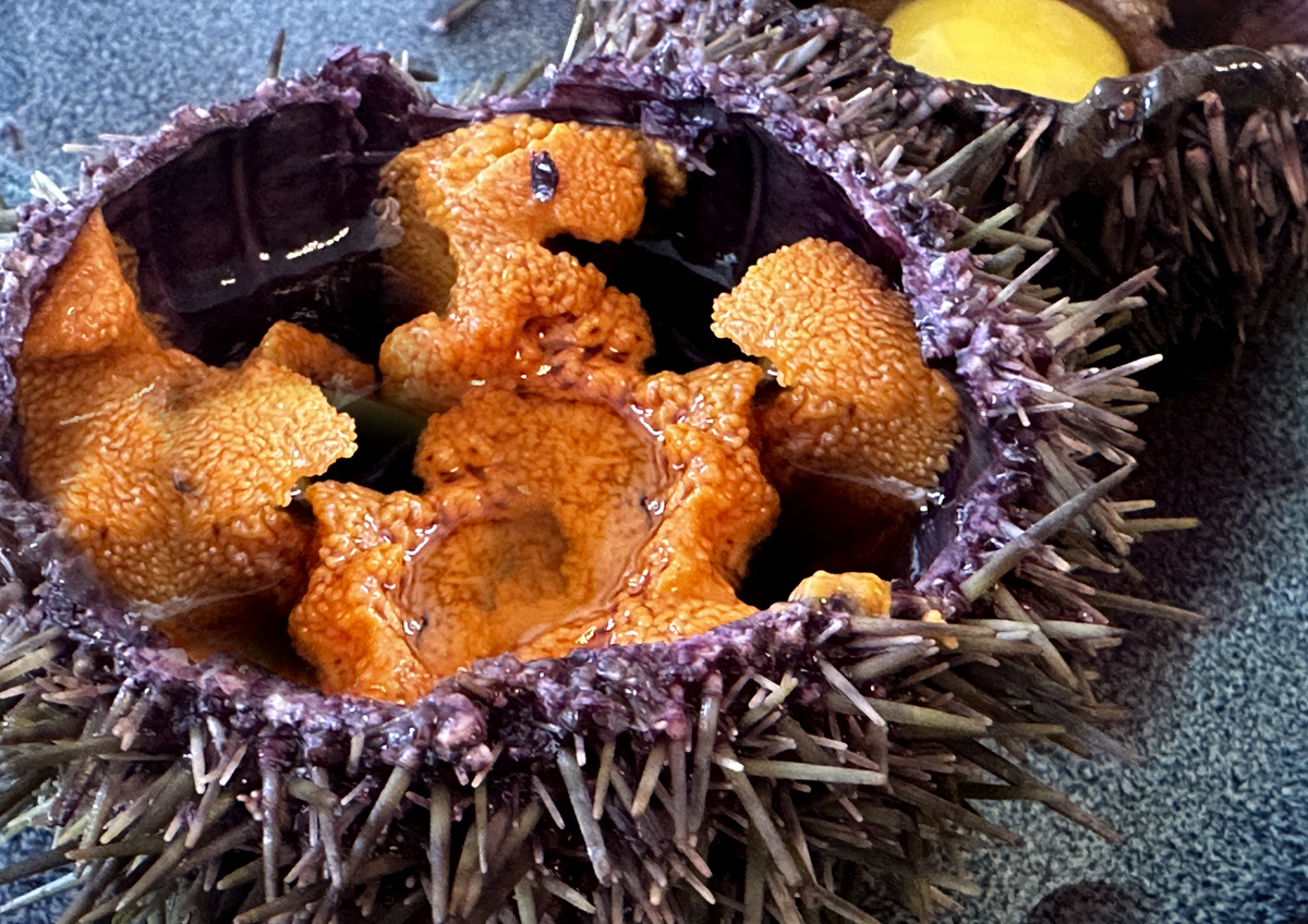 Фото © «Московская газета»