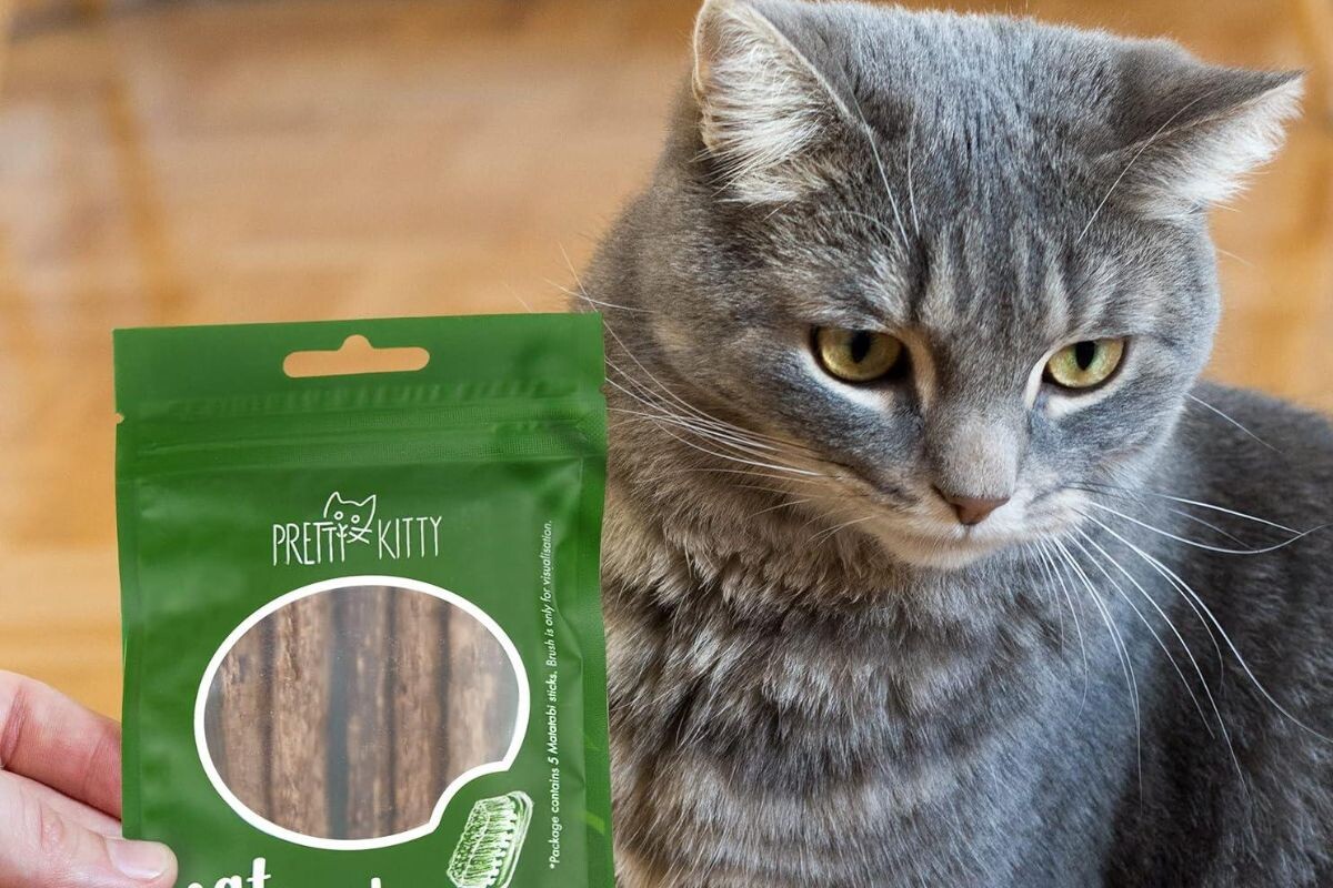 Мататаби для кошек