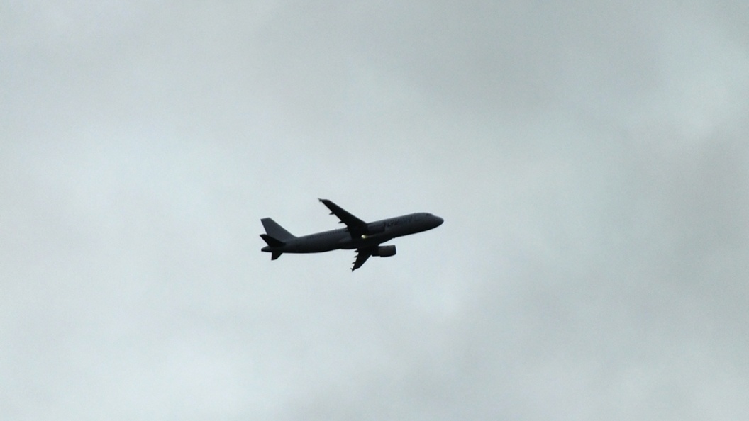    Фото: Victor Lisitsyn/Globallookpress