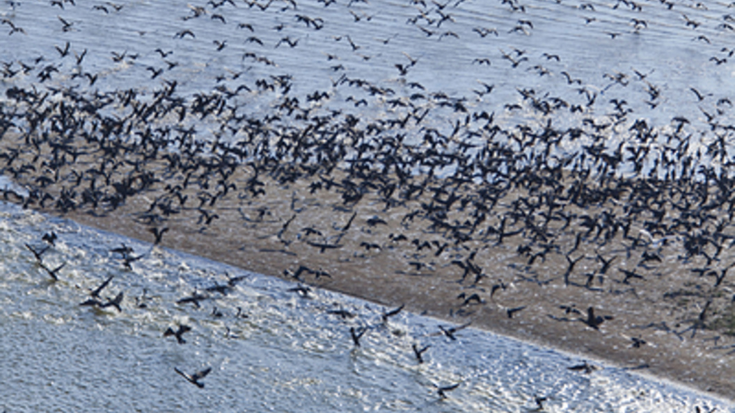    Фото: Serguei Fomine/ Russian Look/Globallookpress