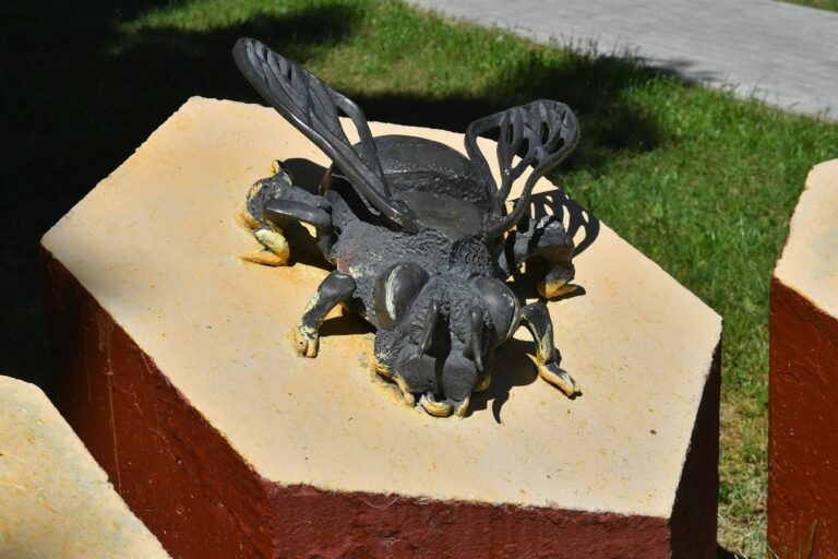    Фото: Киселев Сергей / Агентство «Москва» Анна Полякова