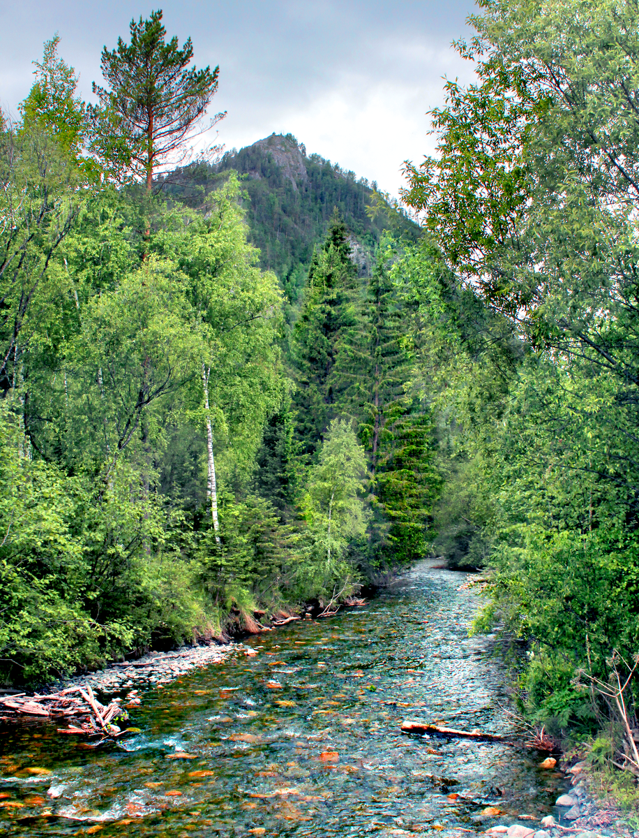 Фотография, стихотворение Василия Глуцкого