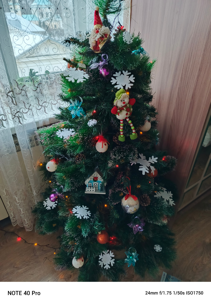 Фото мое. Вот моя красавица!