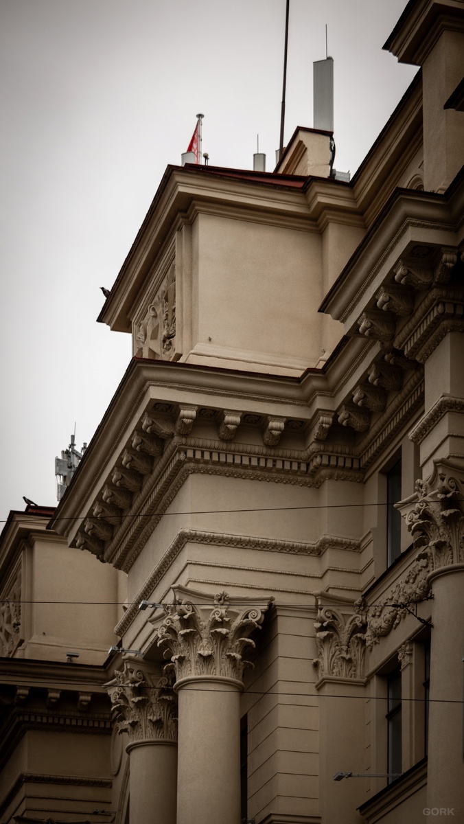 Фото: GORK | Гео: Минск, BY