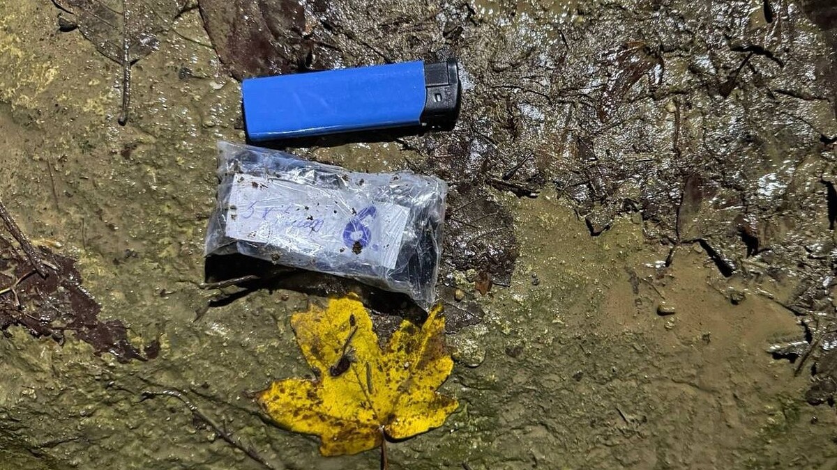    Фото: полиция Сочи