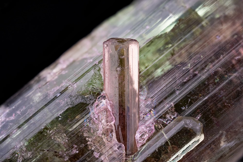 Источник: https://stock.adobe.com/ru/