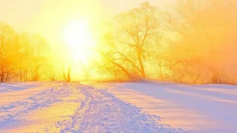 изображение из свободных источников