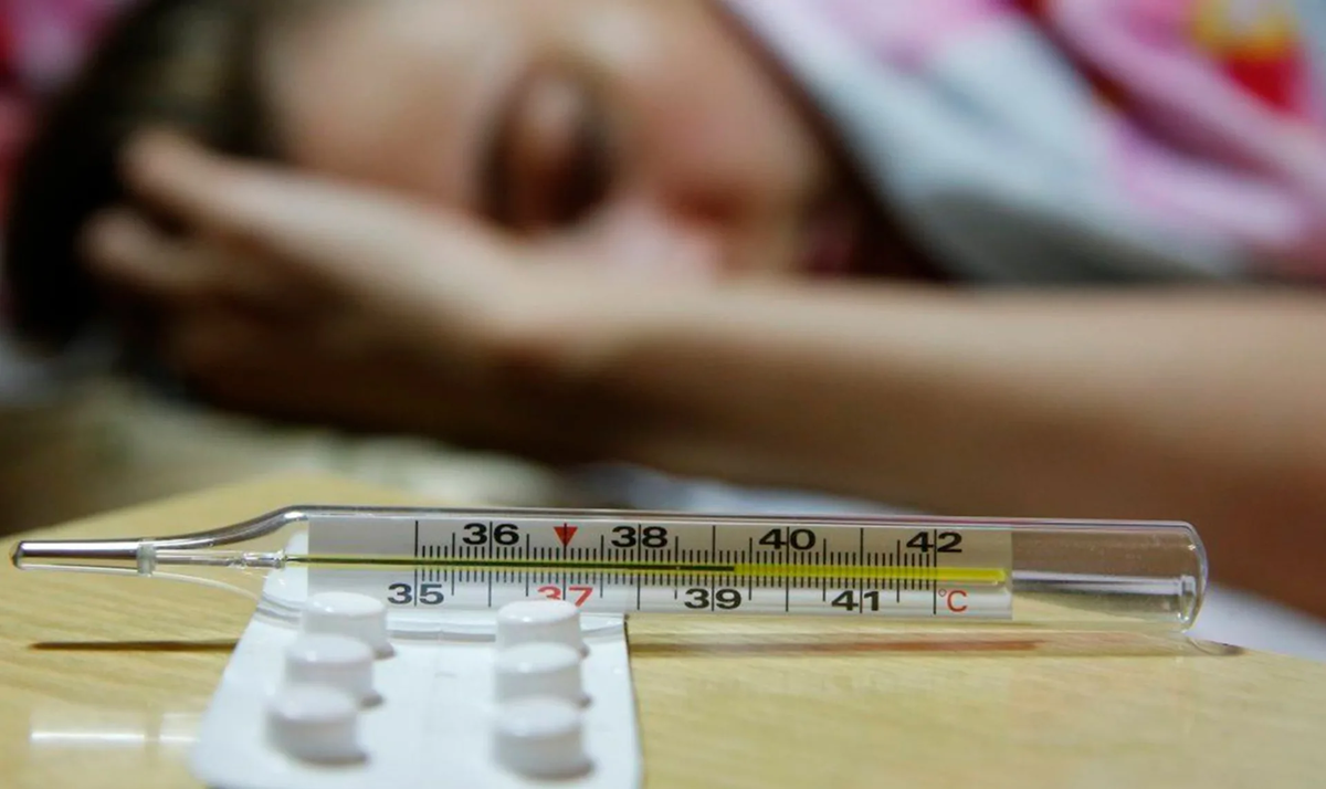 Фото: открытые источники