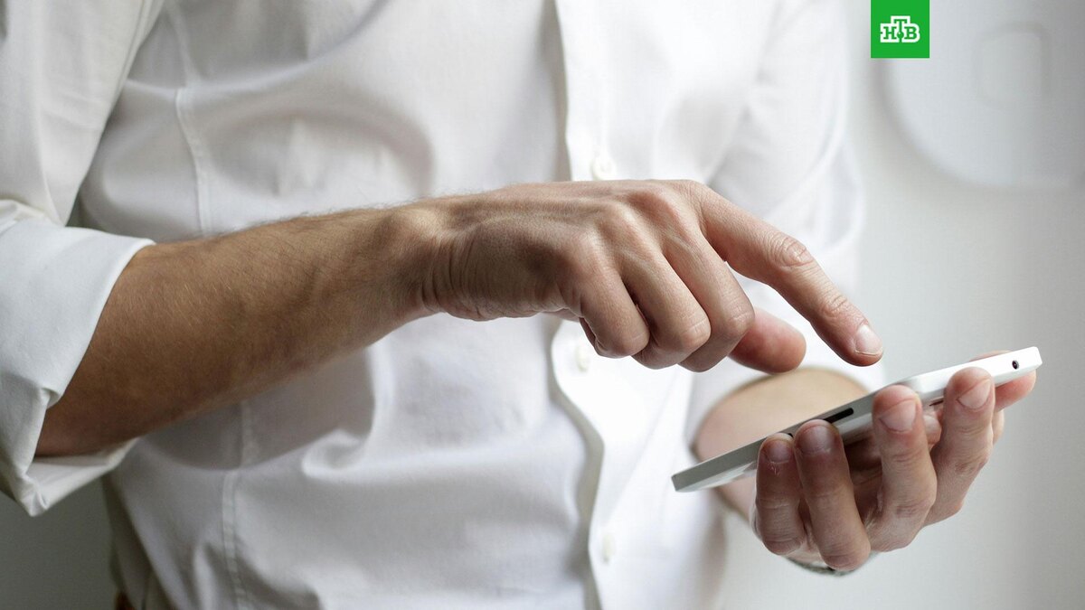    Фото: NordWood Themes / unsplash.com