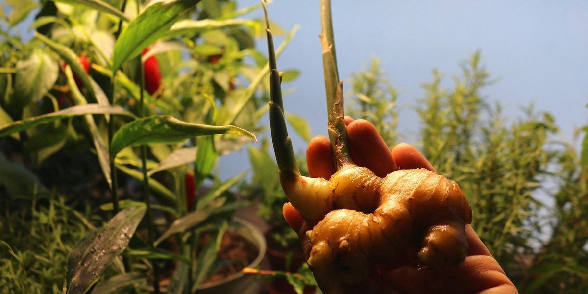 Фото Дарьи Воротынцевой