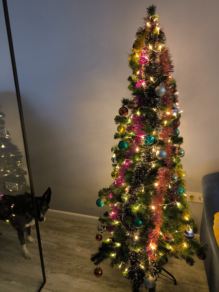 Собака должна охранять квартиру!