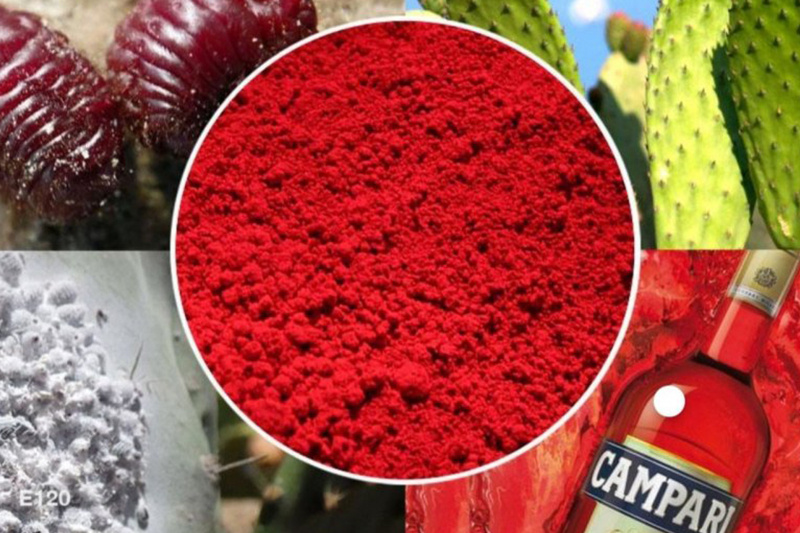 Кошенили и краситель Е120.