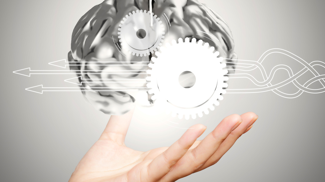    Ingram Images/Russian Look/Globallookpress