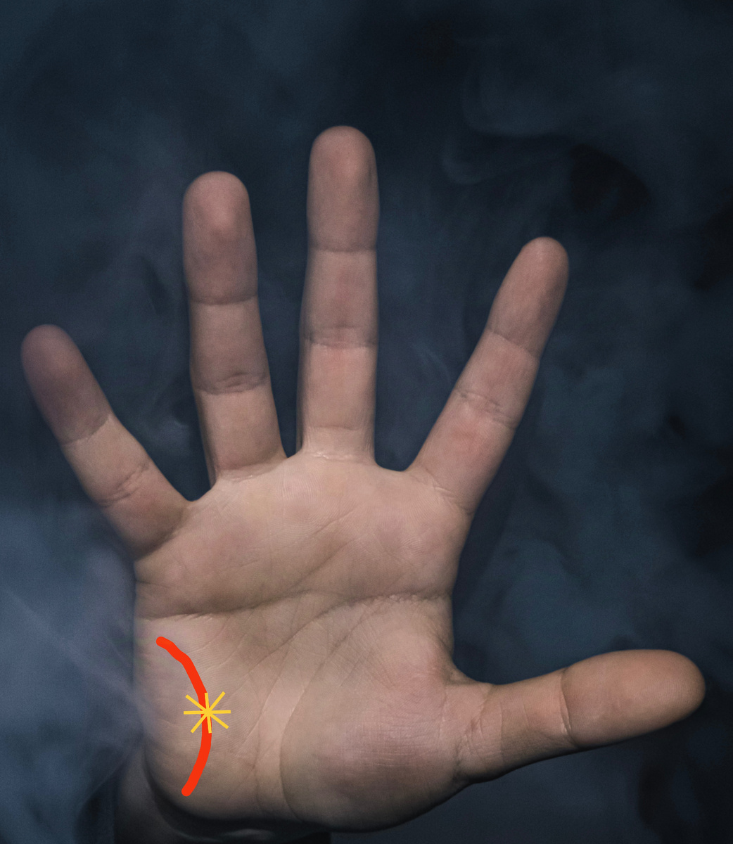 Фото из интернета 