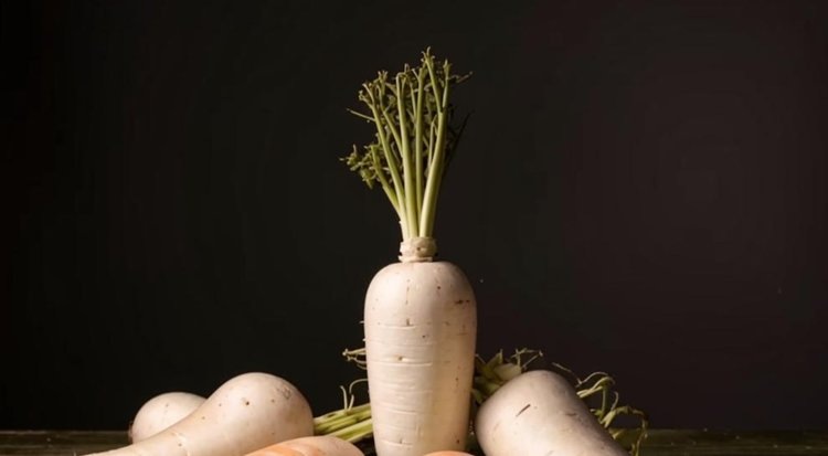    Лунная морковь вместо банана: в пищевых трендах 2025 богатые клетчаткой растительные ингредиенты