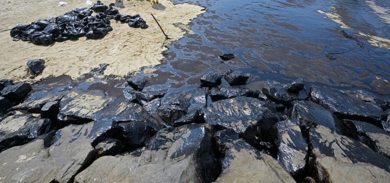 Фото: Then Chih Wey/Globallookpress