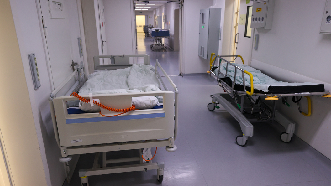    фото: Belkin Alexey/news.ru/Globallookpress