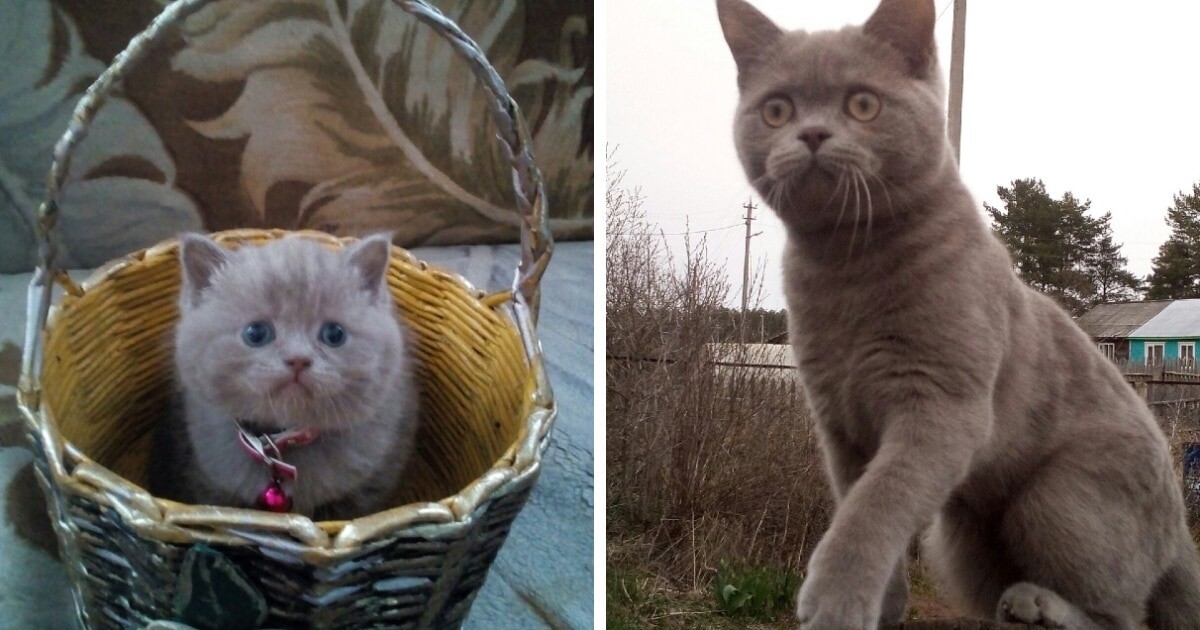 Оксана Парнякова