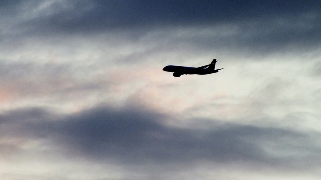    Фото: Victor Lisitsyn/Globallookpress