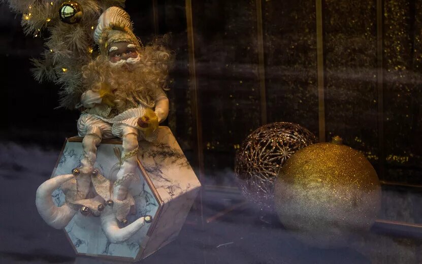    Переулок Широкий в фекалиях, убийство собаки, крушение самолета: что обсуждают ижевчане в соцсетях 25 декабря