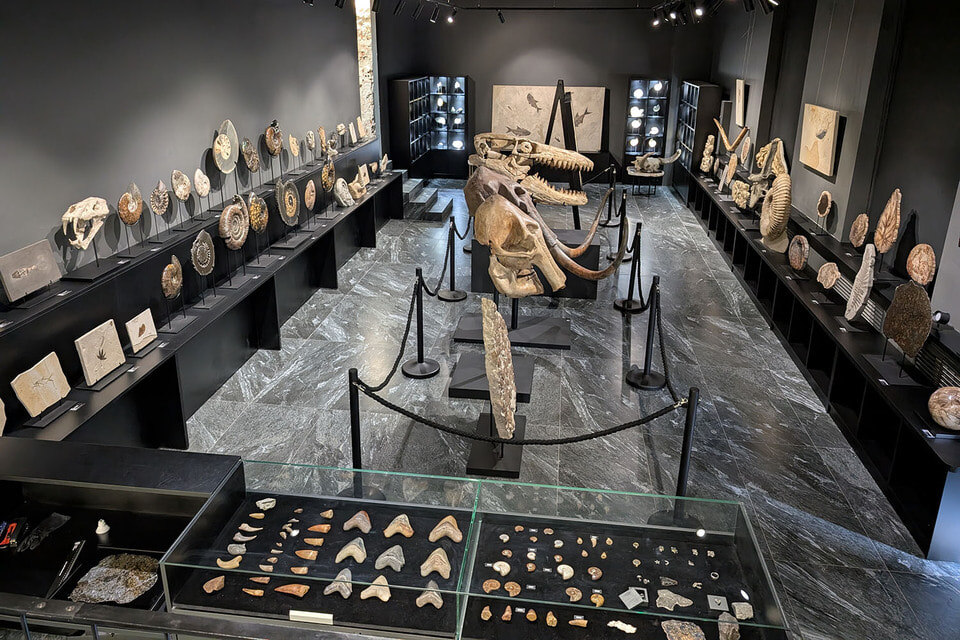 В музее Paleo Hunters можно приобрести любой понравившийся объект/Paleo Hunters