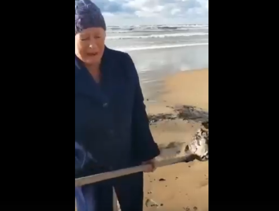 скриншот соцсет