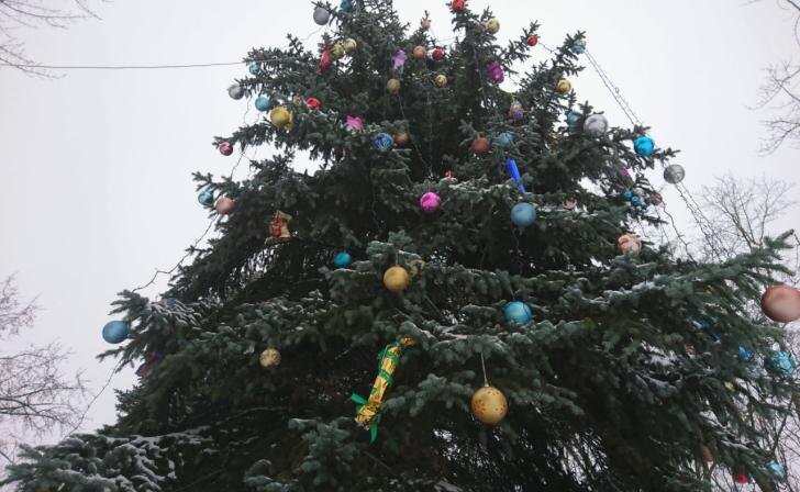    из архива Курских известий