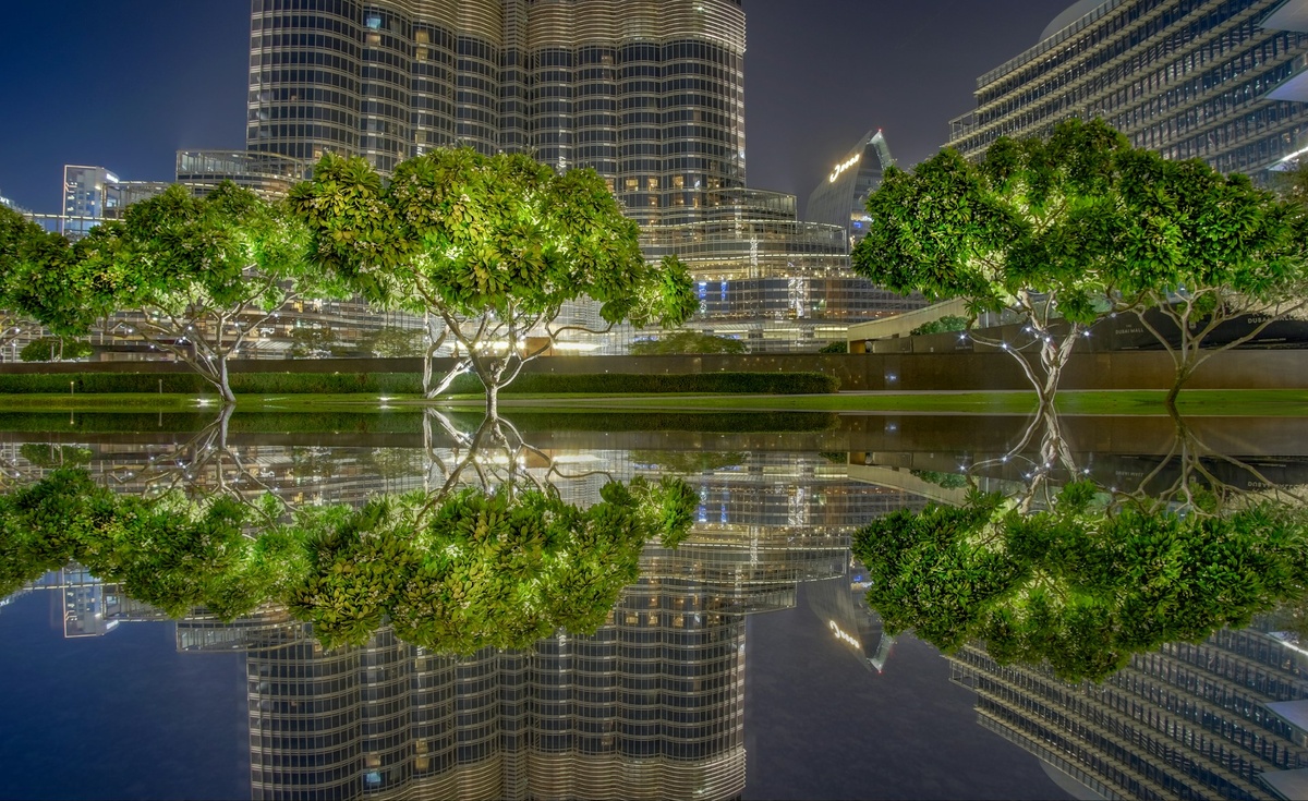 Photo by Zoltan Tasi