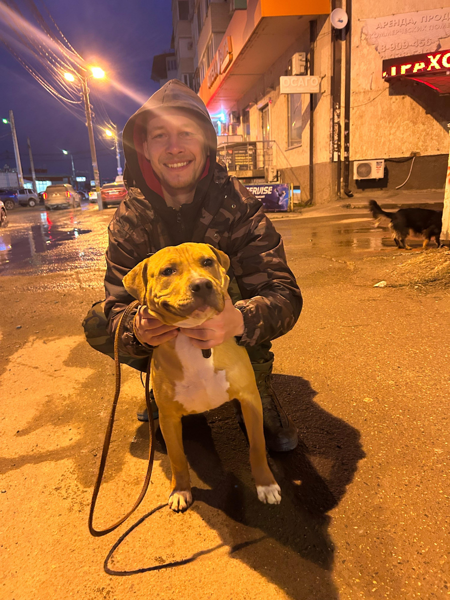 Вот он какой 