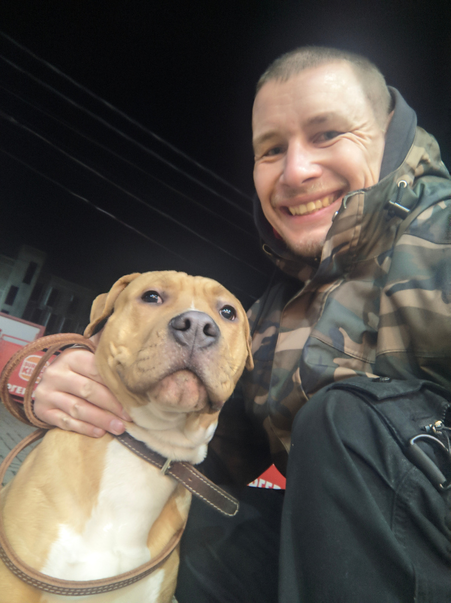 Рожа протокольная